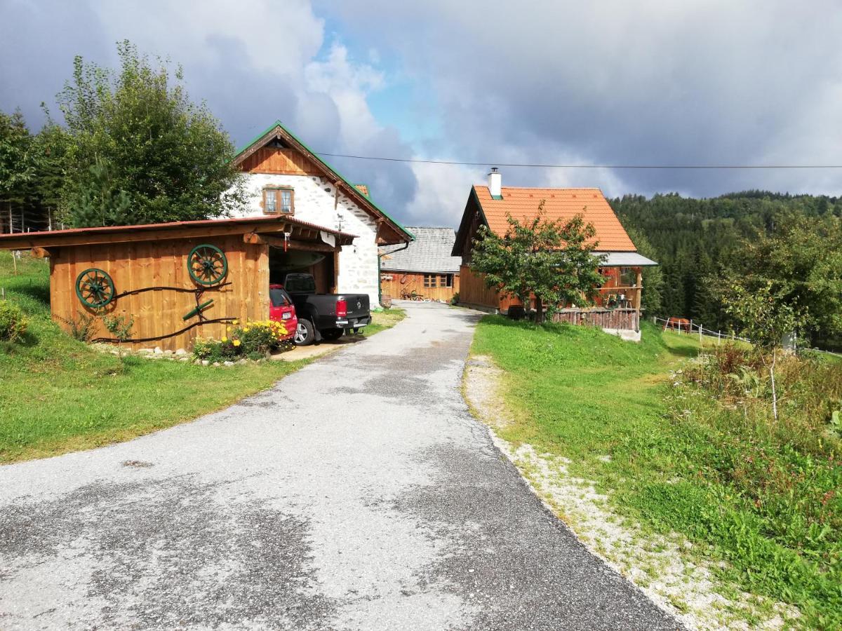 Ferienhaus Friedlhof Langschlag エクステリア 写真