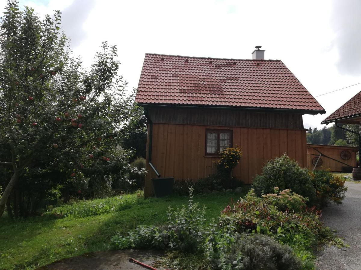 Ferienhaus Friedlhof Langschlag エクステリア 写真