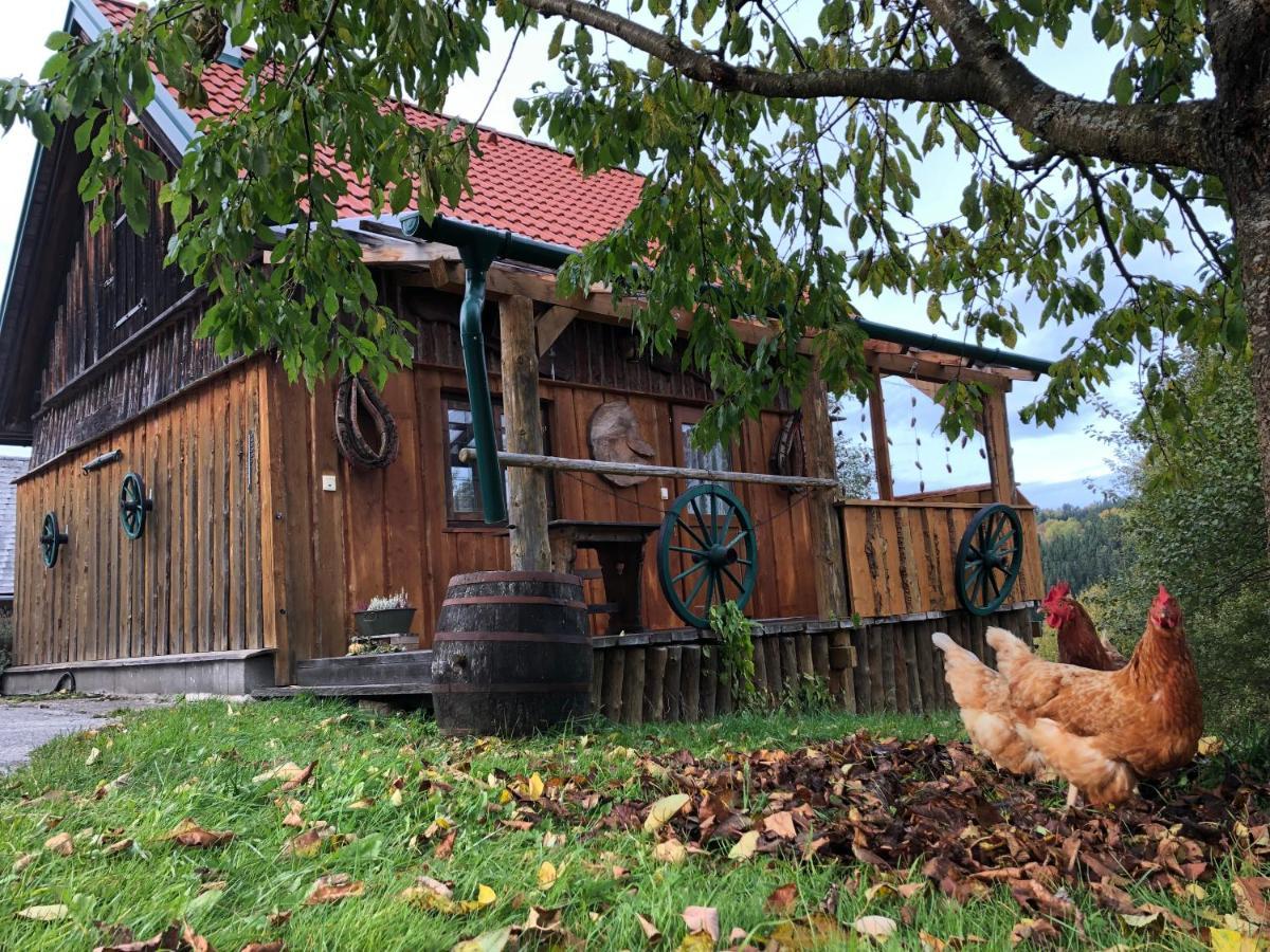 Ferienhaus Friedlhof Langschlag エクステリア 写真