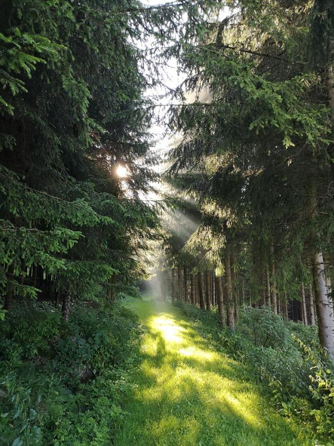 Ferienhaus Friedlhof Langschlag エクステリア 写真