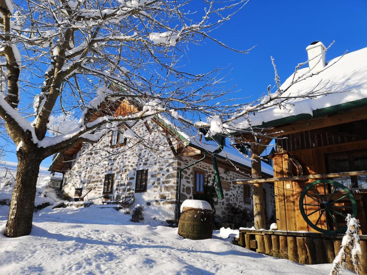 Ferienhaus Friedlhof Langschlag エクステリア 写真